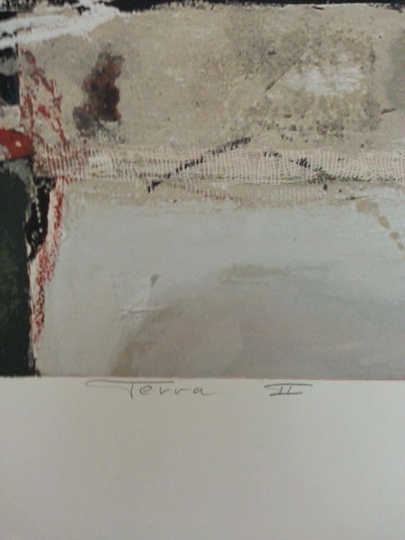 Ron van de Werf, zeefdruk op papier, "Terra II" kopen? Bied vanaf 50!