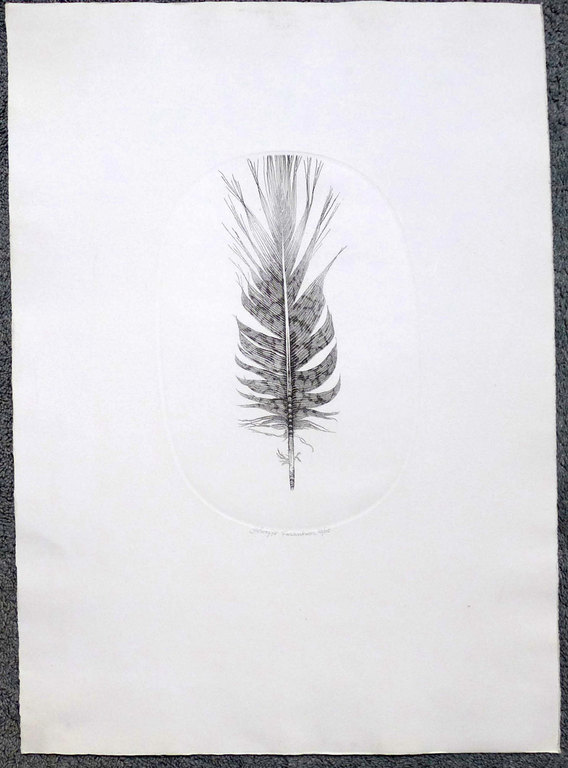 Gerard van Rooy, ets uit 1978 verkocht voor € 50!