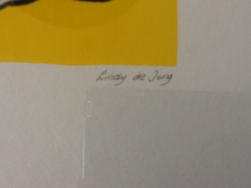 Lindy de Jong : Handgesigneerde kleurenlitho kopen? Bied vanaf 20!