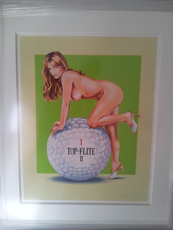 Top Flite II verkocht voor € 550!