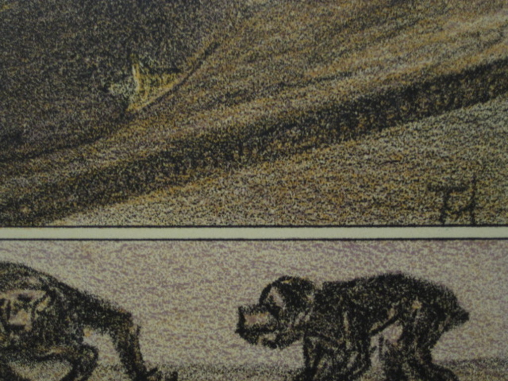 Magnifieke 1906 Litho Th. v Hoytema (1863) Baviaan (kalender going to the Zoo) kopen? Bied vanaf 1!
