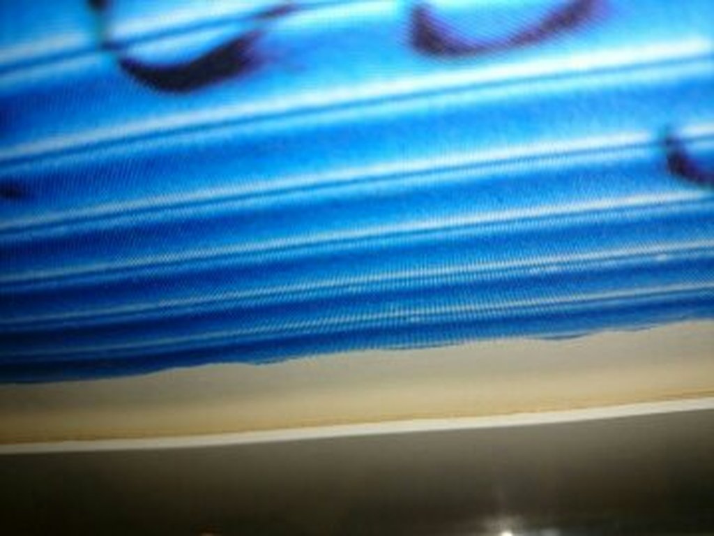 Paard,zeefdruk  kopen? Bied vanaf 249!