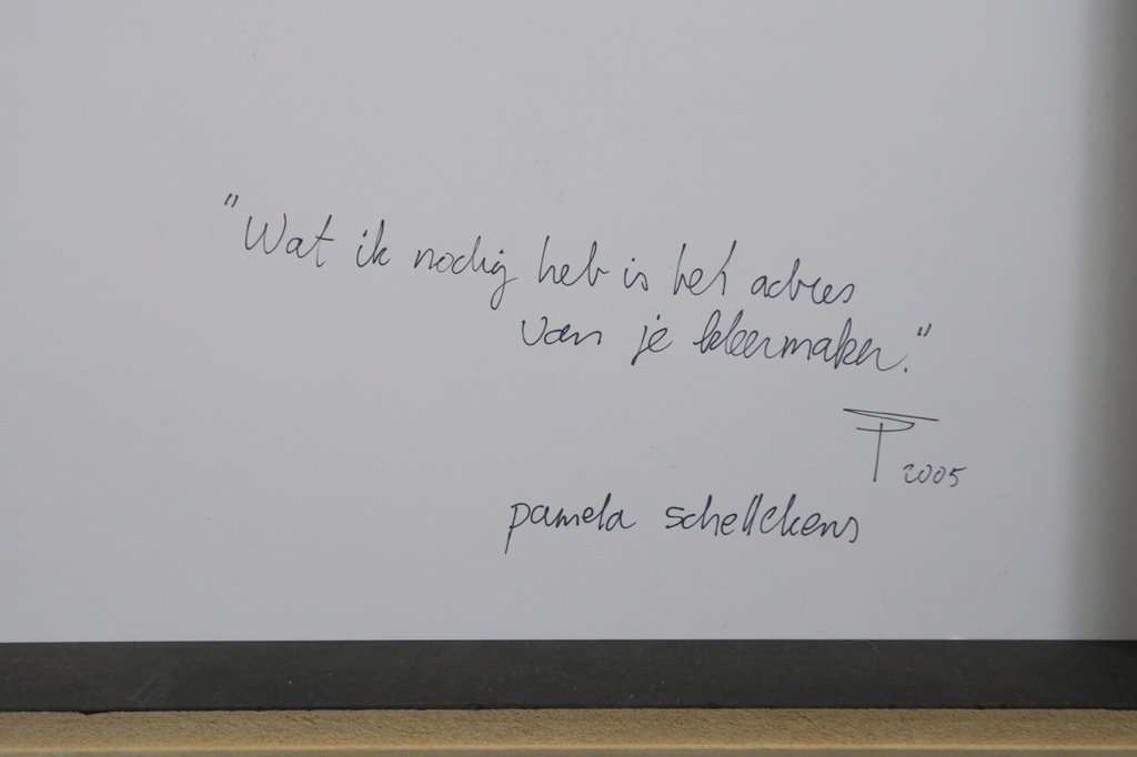 Pamela Schellekens: Kijkkastje, Wat ik nodig heb ... - Ingelijst kopen? Bied vanaf 100!