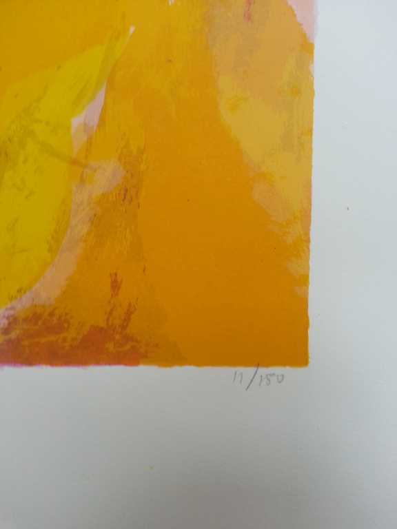 Charlotte Molenkamp, zeefdruk op papier, Titel: kopen? Bied vanaf 50!