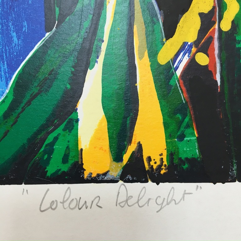Roel Hofman zeefdruk 'Colour Delight' kopen? Bied vanaf 50!