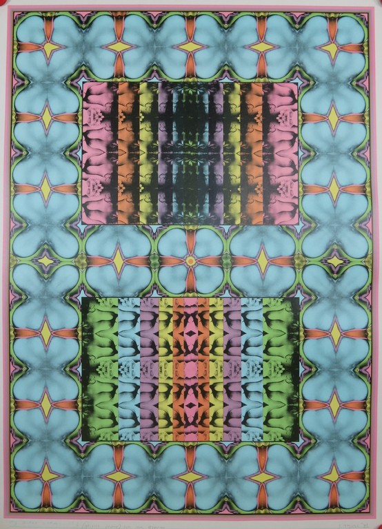 Shinkichi Tajiri: Offset, My Secret Garden No 1 verkocht voor € 150!