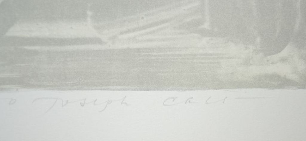 Joseph Cals: Litho 'Hommage aan Graham Sutterland', 1980 kopen? Bied vanaf 50!