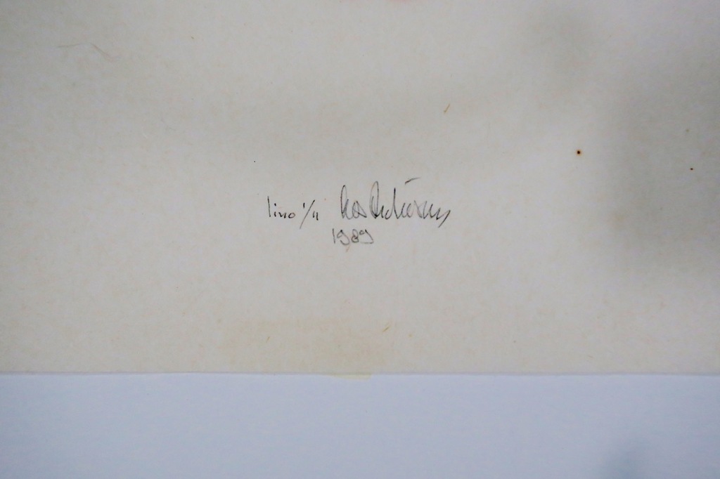 Cees Andriessen: Lino, Z.T. kopen? Bied vanaf 20!