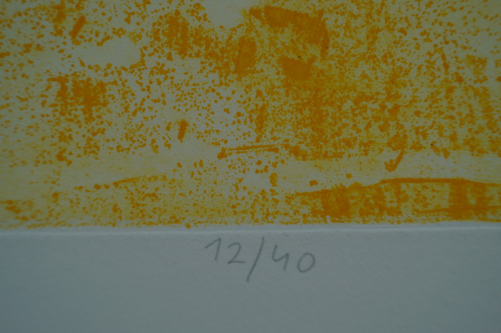 Eliza Kopec - gesigneerde zeefdruk - Holy Grail II - 40 ex. kopen? Bied vanaf 1!
