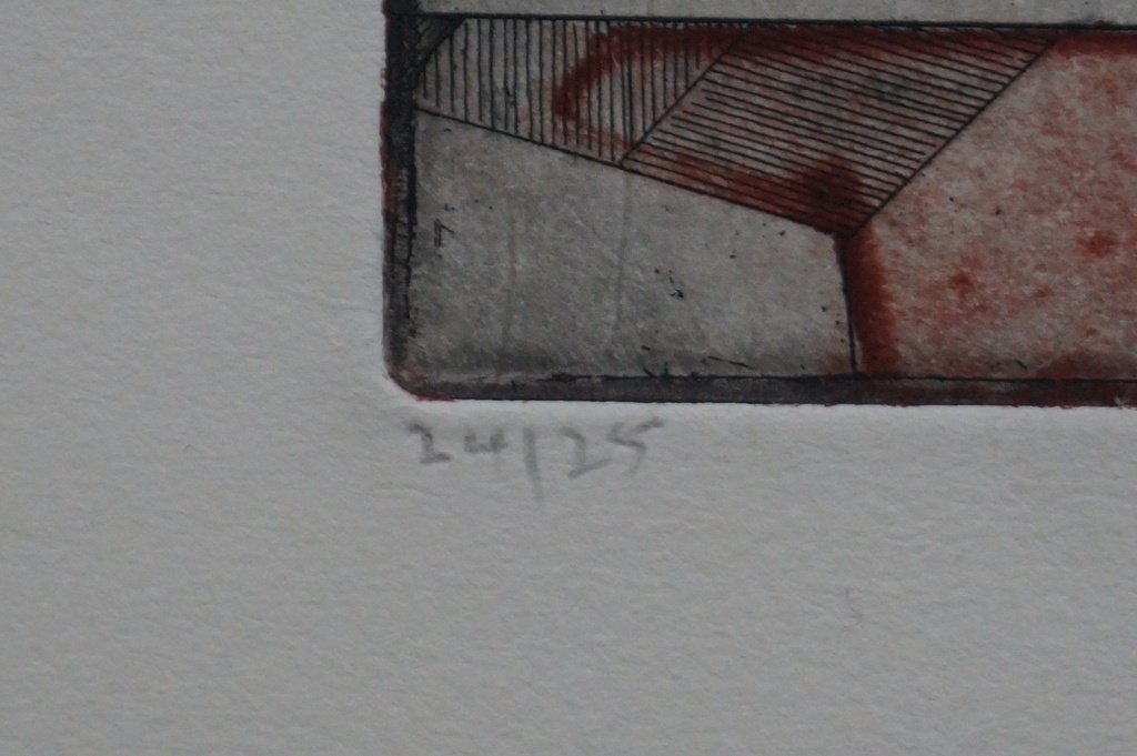 Mark Visione - gesigneerde ets - a reflex of peeches - 25 ex. kopen? Bied vanaf 10!