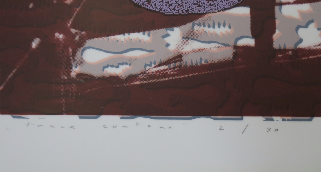 Eugene Jongerius: Zeefdruk op polyester, Trace Contour 2 kopen? Bied vanaf 1!