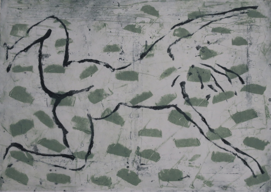 Wim Zurne: Litho, Zwemster kopen? Bied vanaf 1!