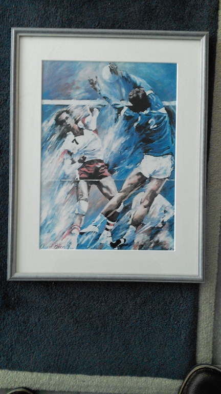 Angelique van de Born litho Volleybal kopen? Bied vanaf 19!