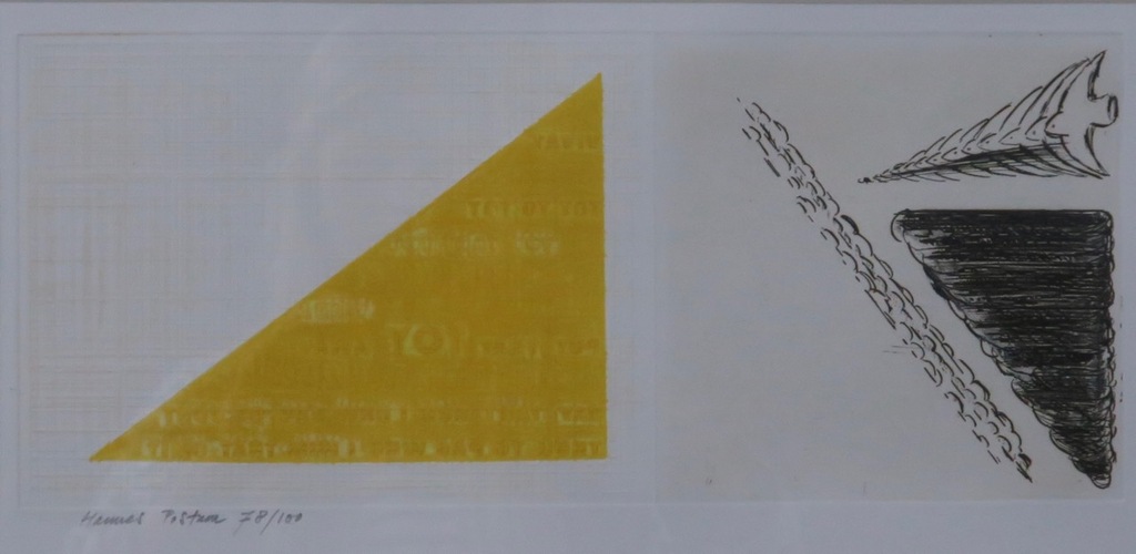 Hannes Postma: Ets en reliefdruk, Z.T. Vogel - Ingelijst kopen? Bied vanaf 40!