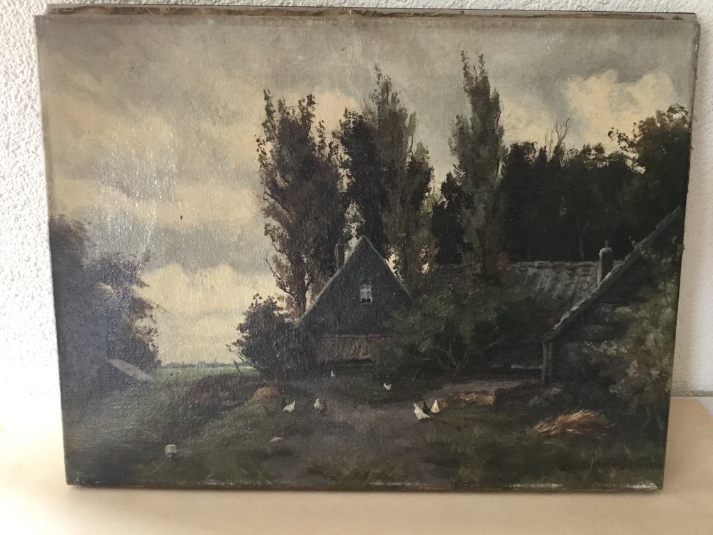 Boerderij met kippen kopen? Bied vanaf 65!