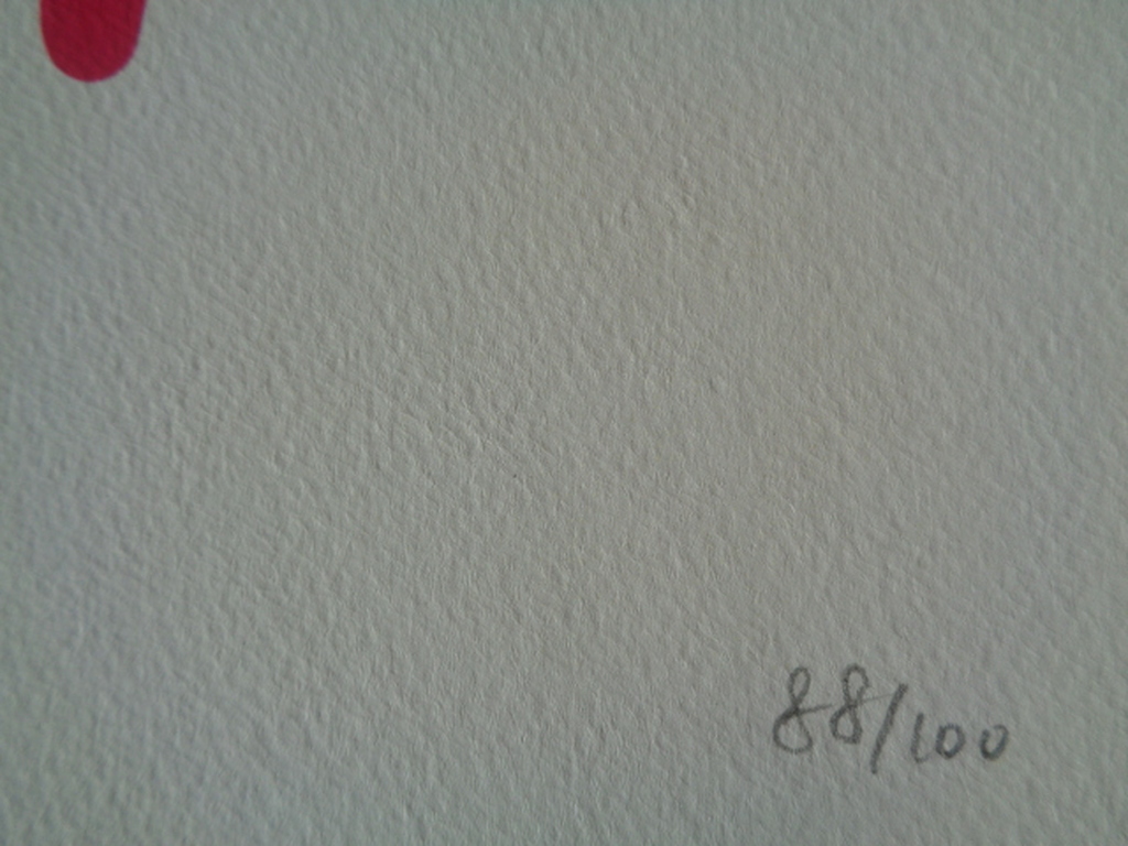 GROTE Fine Art Print,"Snow Drip", GESIGNEERD en COA, genummerd A/P of 1 t/m 100 kopen? Bied vanaf 1!