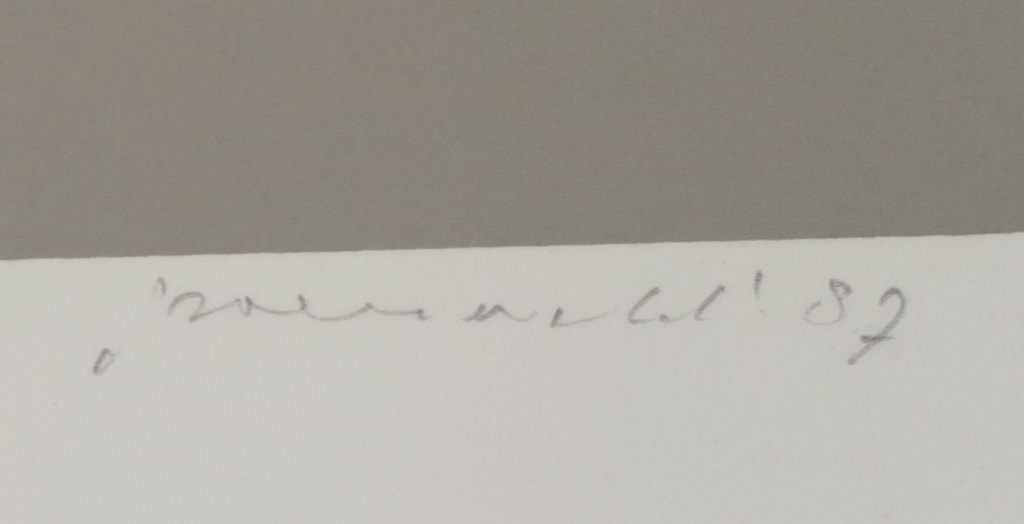 Doris Groeneveld: Zeefdruk, Basalt kopen? Bied vanaf 20!