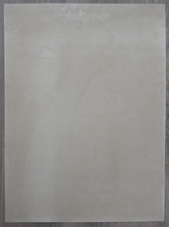 Bram Van Velde # FOREST, mp61 # litho, 1970, gesigneerd/genummerd, nm+ kopen? Bied vanaf 200!