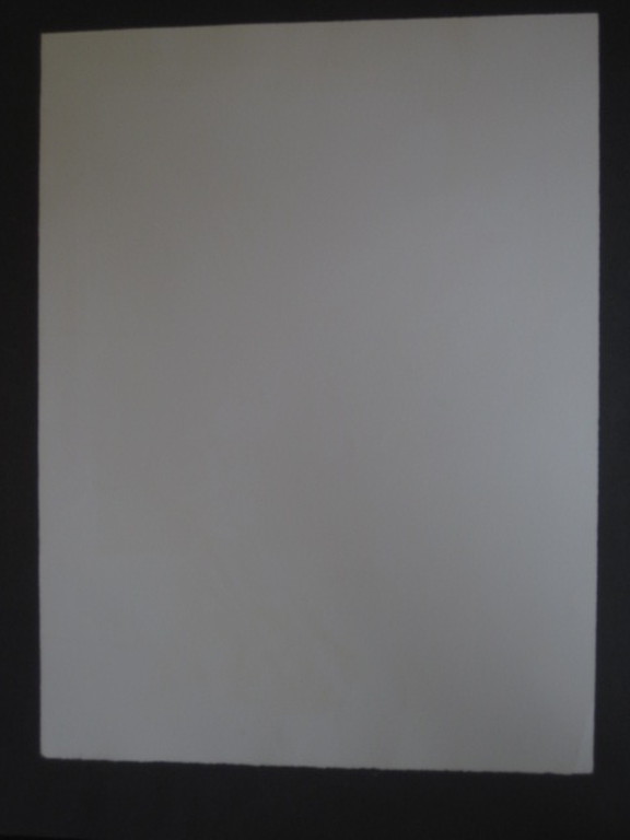 Groot Realistisch grafiek Poen de Wijs 1948-2014) Lithografie "Vrouw " kopen? Bied vanaf 1!