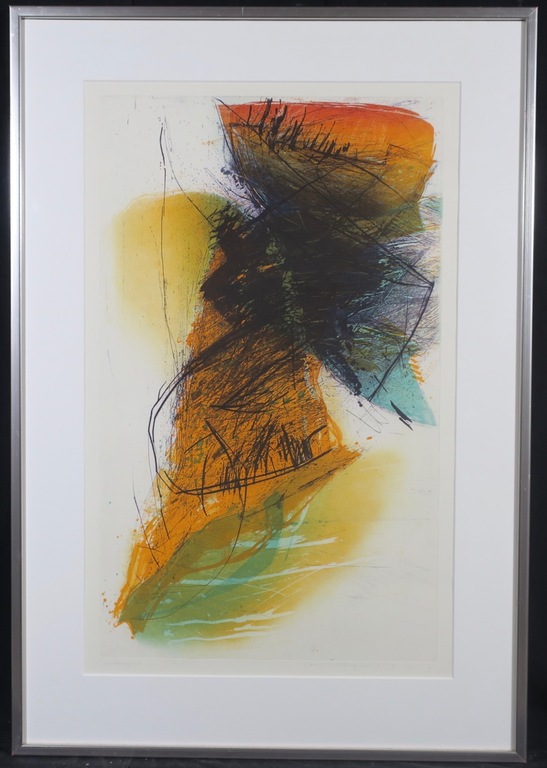 Hans Vredegoor: Ets en Aquatint, Entangled - Ingelijst verkocht voor € 45!
