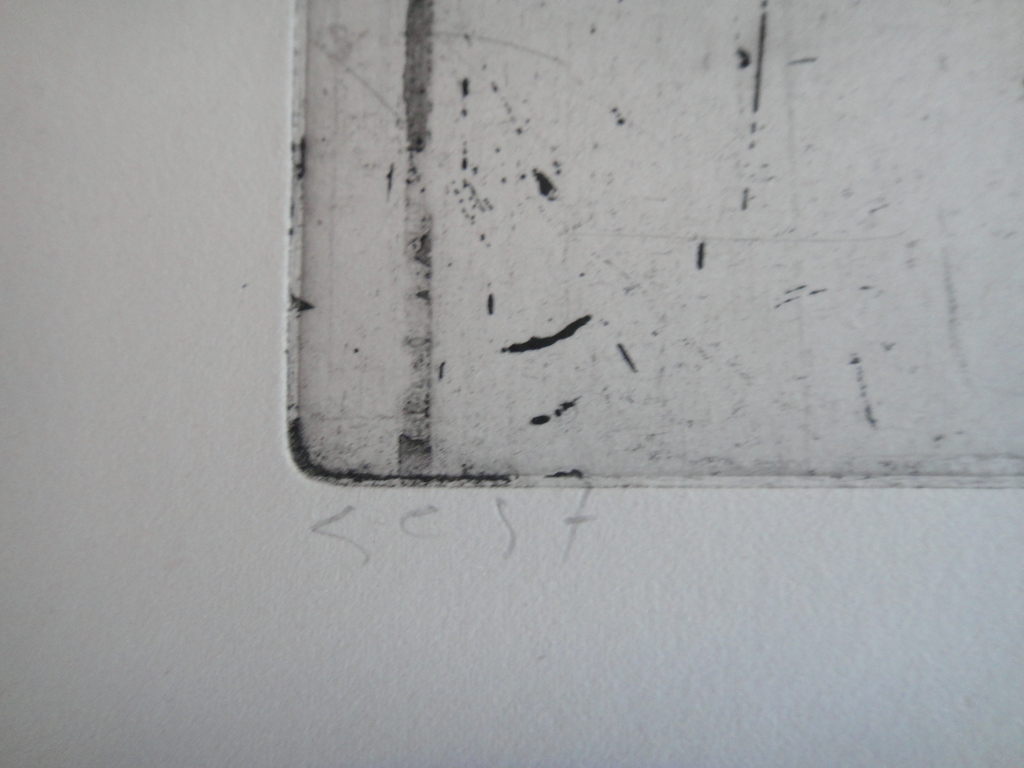 Jan Prins (1956) - (zeldzame) ets - tropische bloemen  kopen? Bied vanaf 1!