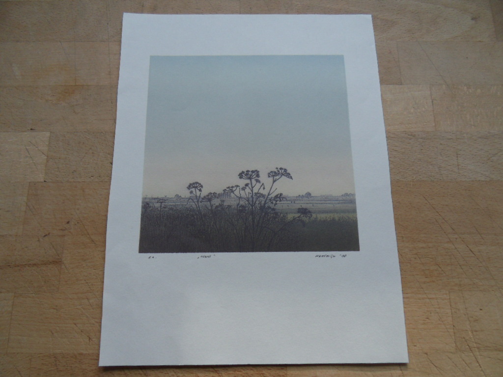 Henk Kastelijn, kleurenets, "Herfst" 1988 kopen? Bied vanaf 1!