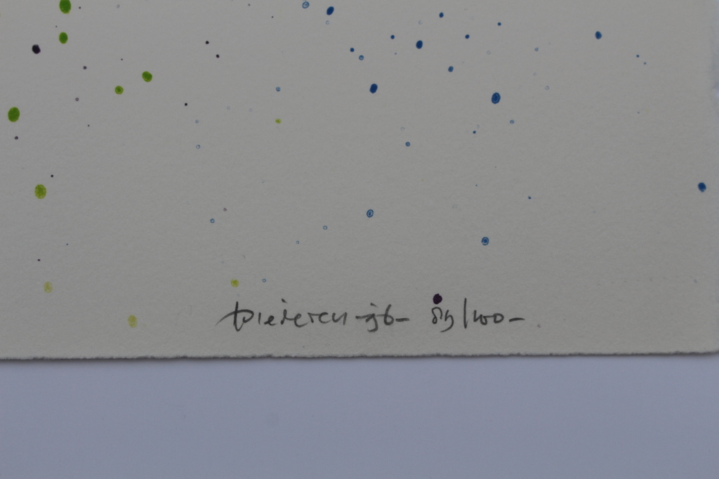 Jef Diederen (1920-2009)- gesigneerd litho - opl. 100 ex. -1996 -galerie Schoots kopen? Bied vanaf 25!