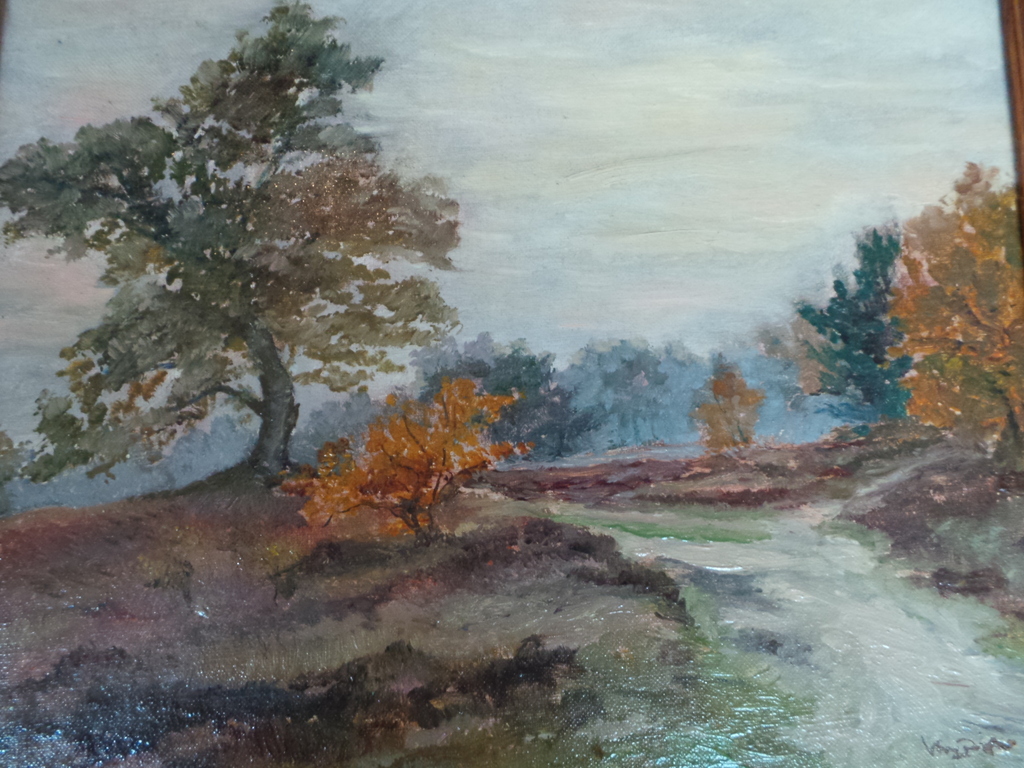 Bosgezicht kopen? Bied vanaf 25!