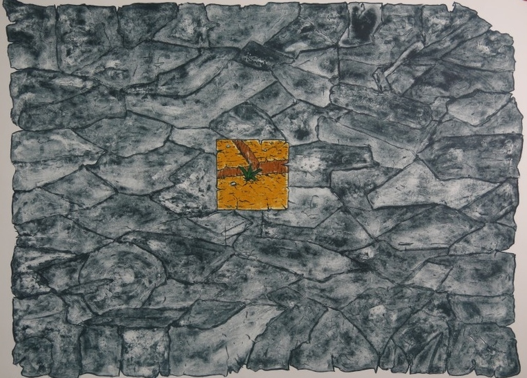 WIlliam T. Wiley: Lithografie, Wash Doubt.  verkocht voor € 120!