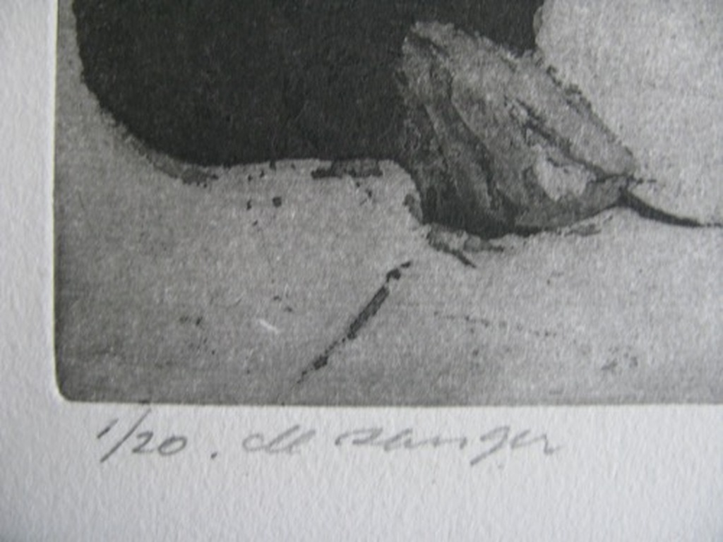 Willy Belinfante - DE ZANGER - ets kopen? Bied vanaf 1!