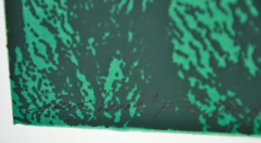 Geert Mols: Zeefdruk - Wie zoekt den dollen dries kopen? Bied vanaf 50!