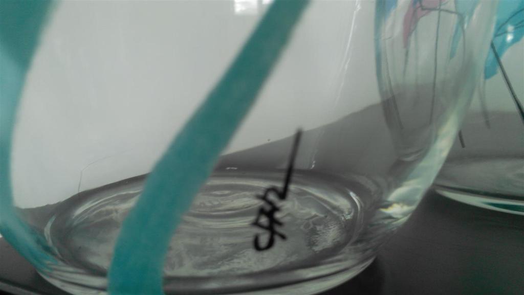 Corry Ammerlaan van Niekerk CAN 3 karaffen en 2 wijnglazen kopen? Bied vanaf 12!