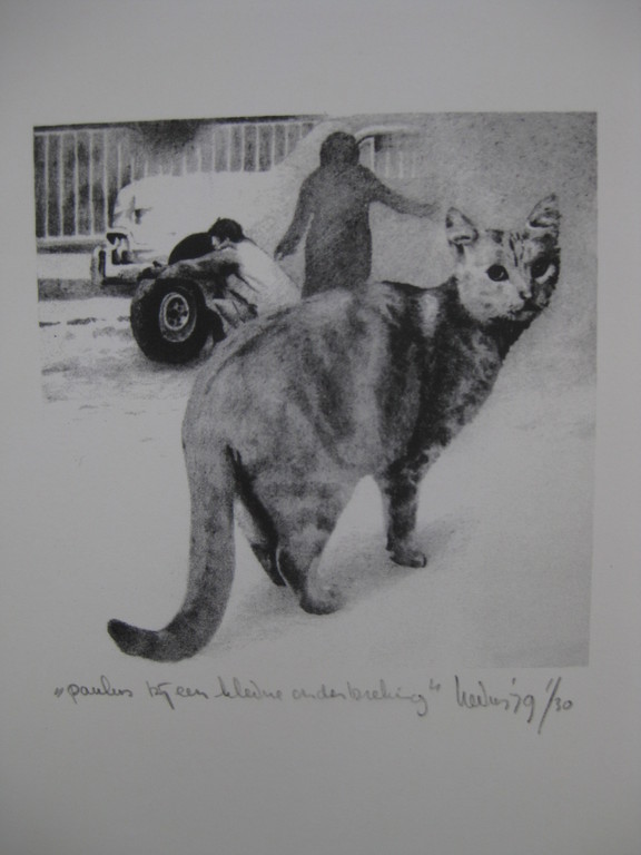 Sjouke Heins: Litho, Paulus bij een kleine onderbreking kopen? Bied vanaf 35!