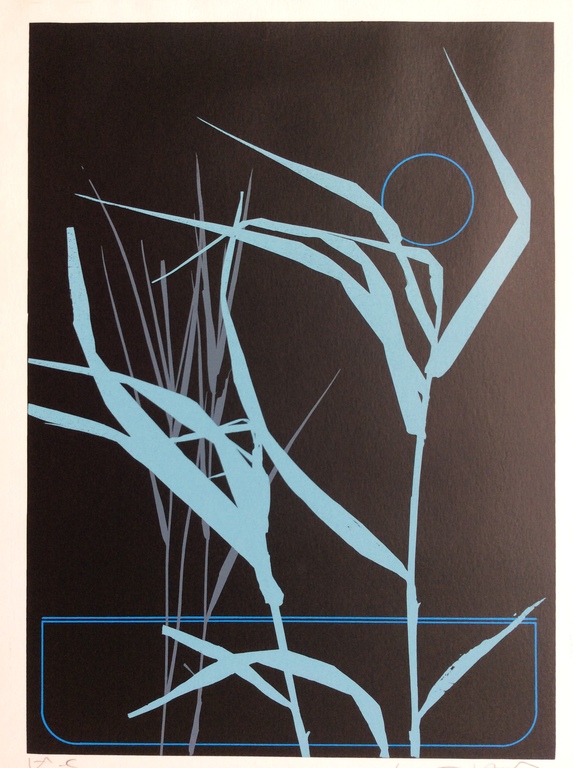 Onbekende kunstenaar - zeefdruk  kopen? Bied vanaf 1!