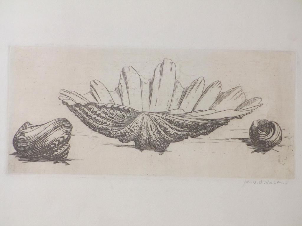 Maurts van der Valk, Schelpen, Ets verkocht voor € 45!