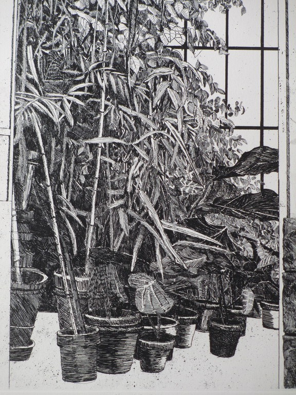 Joost Minnigh, Plantenkas, Ets 1977 kopen? Bied vanaf 45!