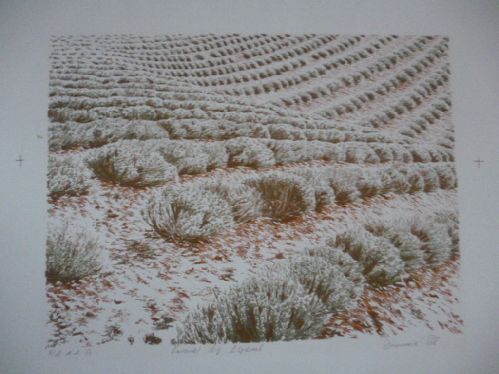 A.Pel-Kleurenlitho-Lavendel bij Espenel kopen? Bied vanaf 15!