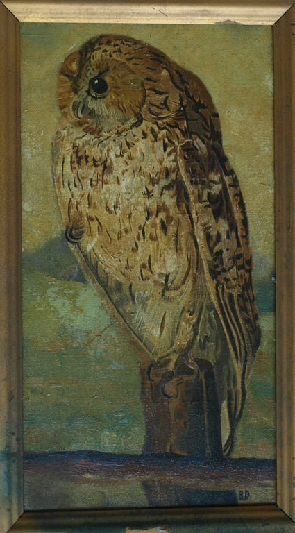 Gesigneerd B.D. : Olieverf op paneel , Uil – ingelijst– 1e helft 20e eeuw kopen? Bied vanaf 1!