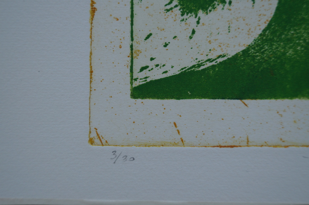 Gerart Kamphuis - gesigneerde ets - Hommage à Fabritius V kopen? Bied vanaf 1!