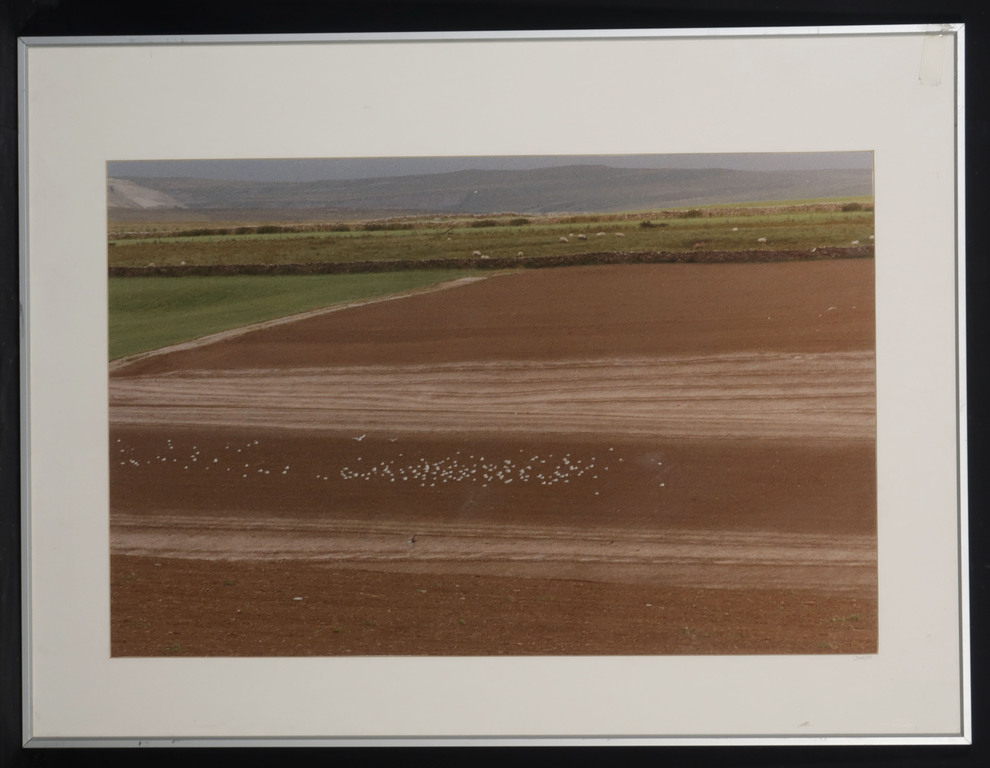 Jan Kalff: Foto, Z.T. Weiland - Ingelijst kopen? Bied vanaf 1!