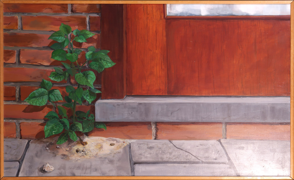 Paul van Wierst: Acryl op doek, Pas opgeleverd achtertuintje - Ingelijst verkocht voor € 50!