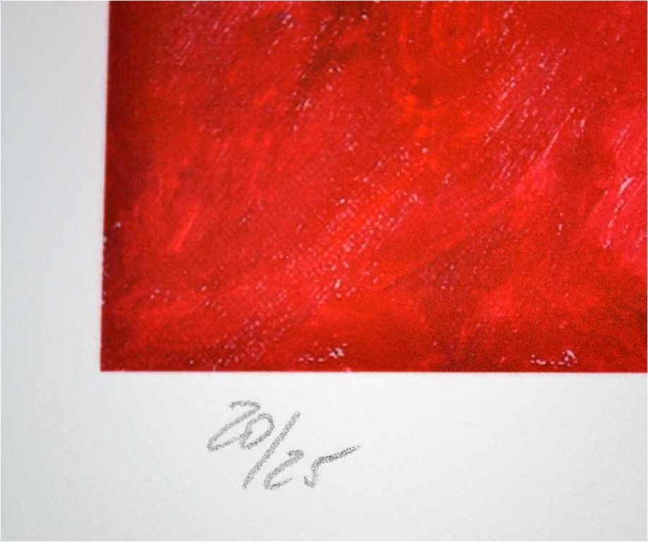 Armando,  kopen? Bied vanaf 180!