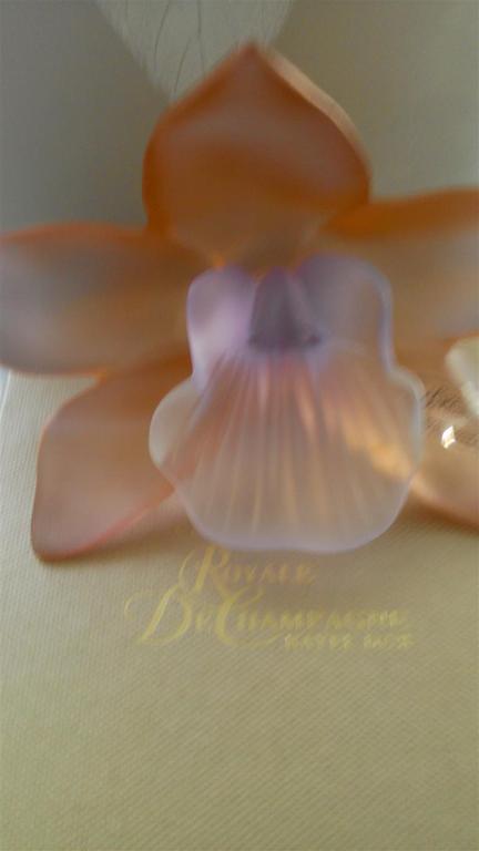 Cristallerie Royal de Champagne:Orchidee Aurore kopen? Bied vanaf 65!