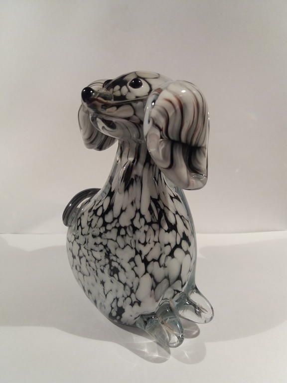 Groot murano dalmatier pup  kopen? Bied vanaf 1!