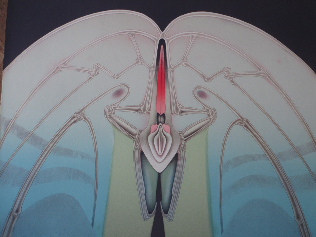 Ond.gesigneerd, Erotische vorm, Kleurenlitho kopen? Bied vanaf 1!