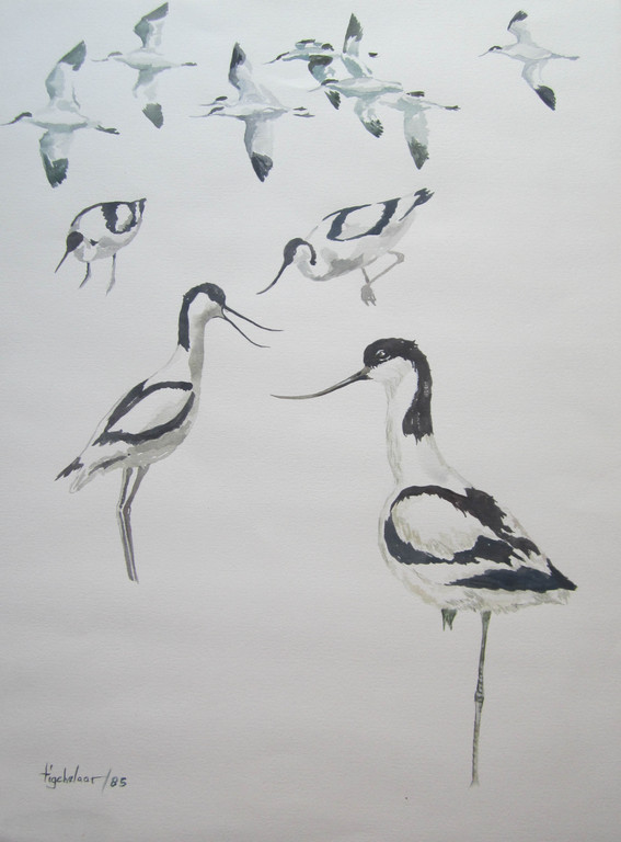 André Tigchelaar: Aquarel, Kluten kopen? Bied vanaf 1!