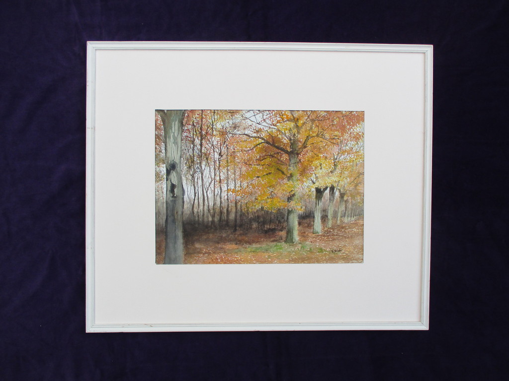 Simon Sint: Gouache, Herfstbos kopen? Bied vanaf 55!