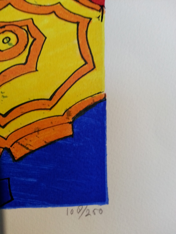 Susan Schildkamp: zeefdruk, titel: " schaduw / licht " kopen? Bied vanaf 20!