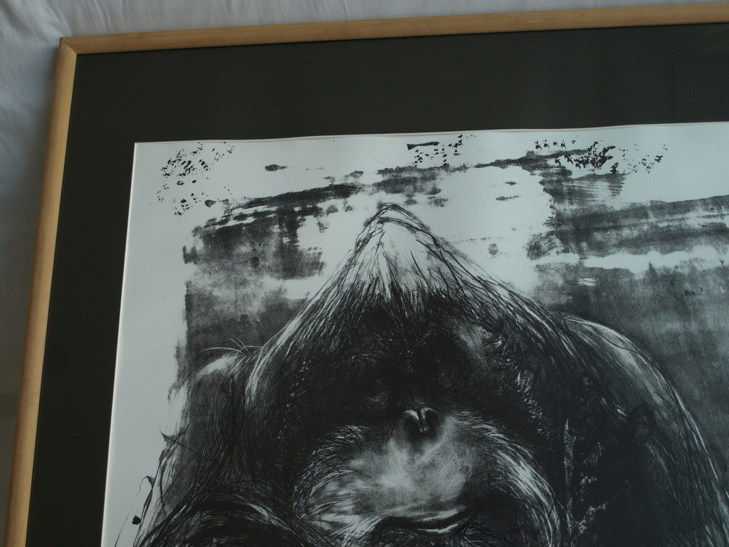 Ton Söder : Litho , Orang-oetan Joop – Artis - gesigneerd & ingelijst – 1982 kopen? Bied vanaf 1!