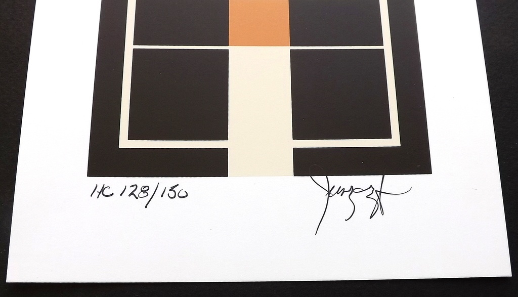 James Juszczyk - gesigneerde litho - titel: Element kopen? Bied vanaf 1!
